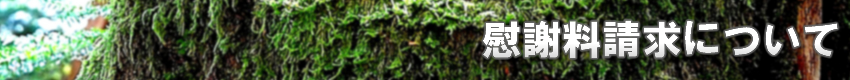 PING-PONG探偵社 慰謝料請求について